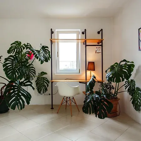 Gyvenimas sodyboje Old Town Co-living Vilnius